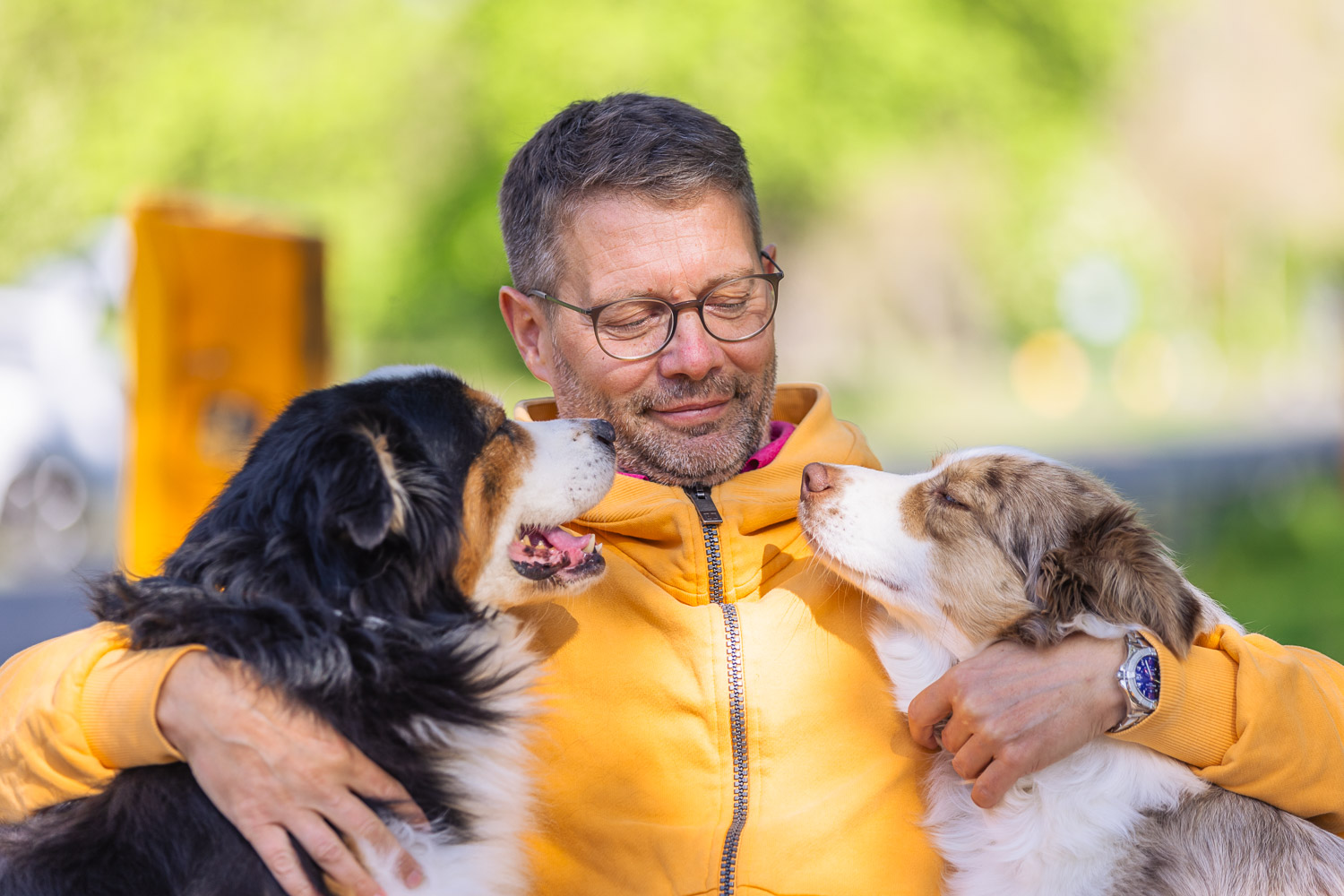 Hundetrainer Dresden Hundeschule Dresden Kai Hartmann 5er-Basis